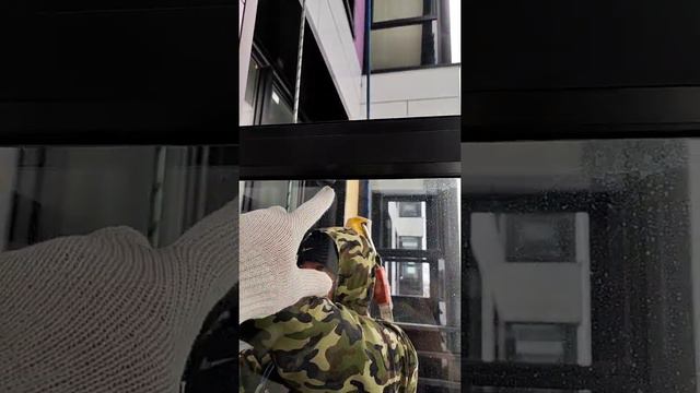 промальп спб