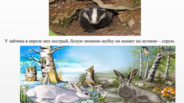 Ребенок и окружающий мир "Апрель" средняя группа смотреть онлайн