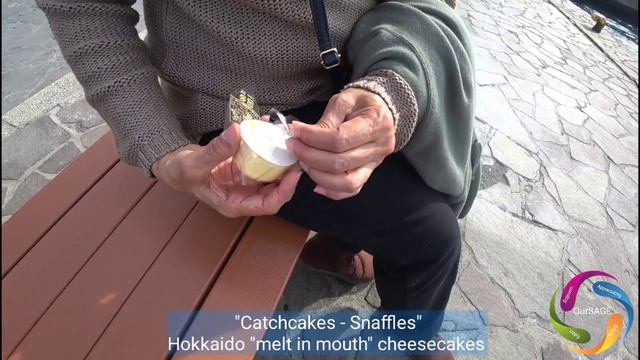 190518-Day 12-2 Hokkaido-Hakodate - Bay Area & Red Bricks Warehouses смотреть онлайн