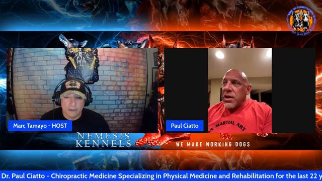 Dobie Talk with Dr. Paul Ciatto. Chiropractic Doctor, Professor of BJJ смотреть онлайн