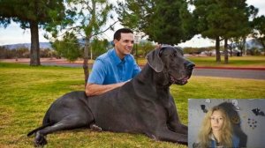 Гигантский Джордж - самый БОЛЬШОЙ пёс в МИРЕ