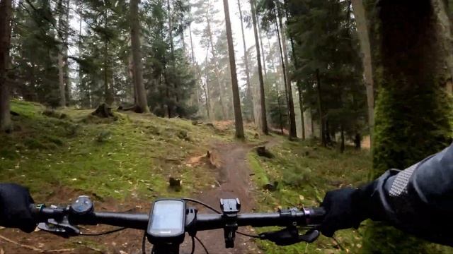 MTB Singletrack Ride In Nordskoven on Trek Procaliber 9.6 смотреть онлайн