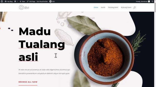 How to use Divi Builder in Wordpress | Divi Theme Tutorial for Beginners full from A-Z смотреть онлайн