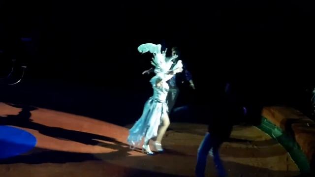 Одесский цирк. смотреть онлайн