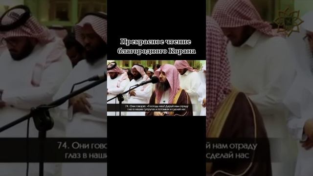 Мухаммад Люхайдан Аль-Фуркан (Различение), аяты 71-77 #рекомендации #recommended #ислам смотреть онлайн