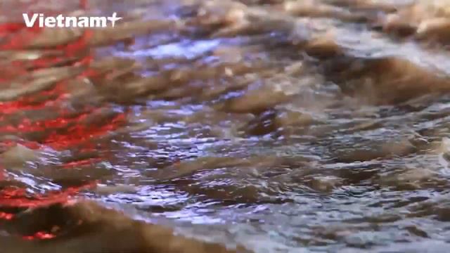 Ханой потрепан после дождя и после более чем недели жаркой погоды смотреть онлайн