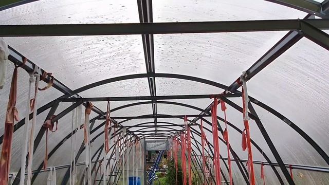 Стрелка 3×6. Редкость,но попадается. Как удлинить "Дачную Трешку" смотреть онлайн