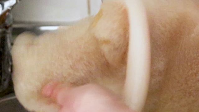 Игры и Развлечения