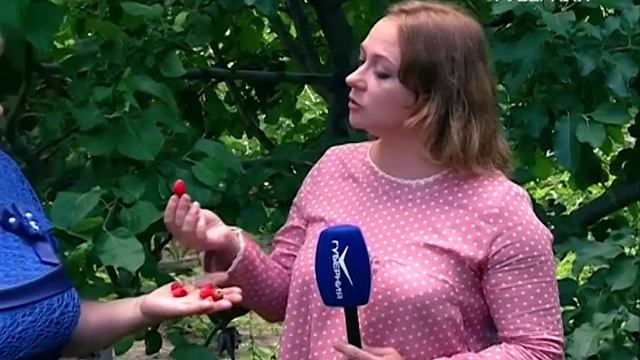 Подготовка к путешествию по дачам России. Удачные заметки смотреть онлайн