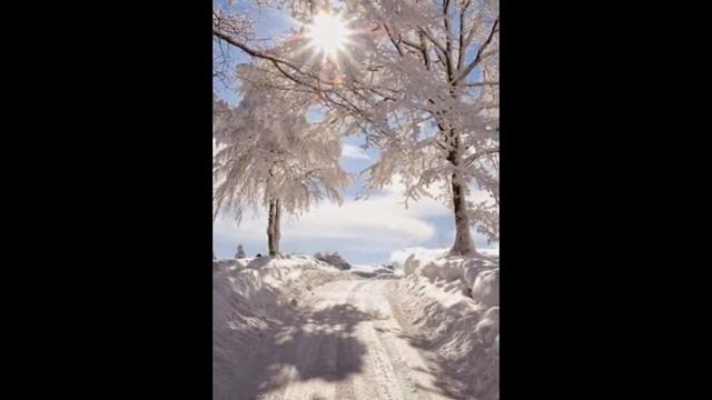 Новогодние картинки смотреть онлайн