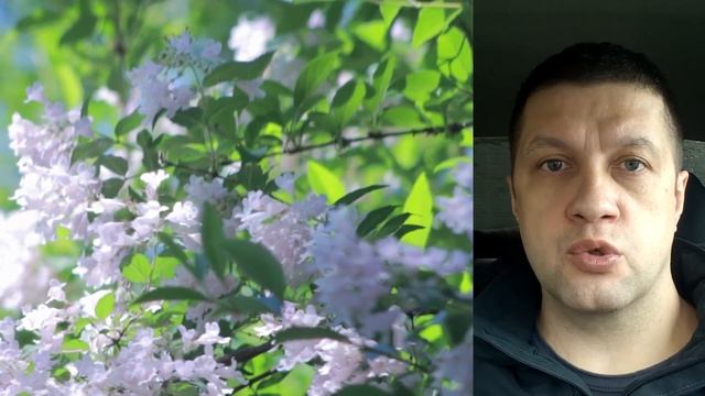 ? Как начать утро с Позитива и Хорошего Настроения ? смотреть онлайн