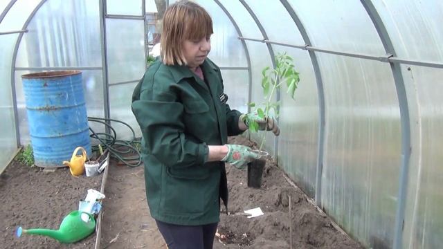 Высаживаем рассаду Собрал диван Делаю кухонный стол смотреть онлайн