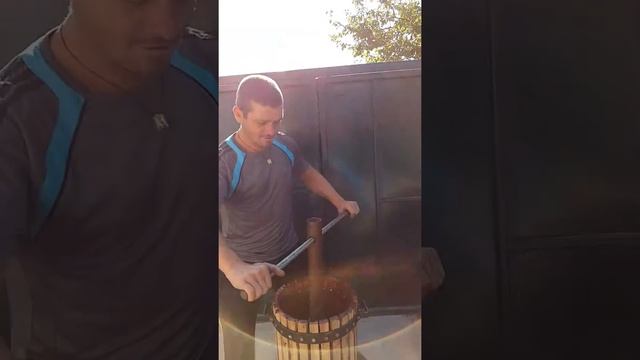 Отжим виноградного сока из ягод винограда смотреть онлайн