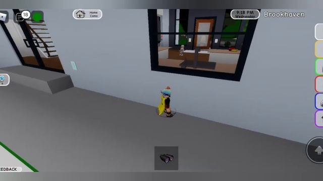 шпионю за игроками в roblox Brookhaven rp? (1 эпизод) смотреть онлайн