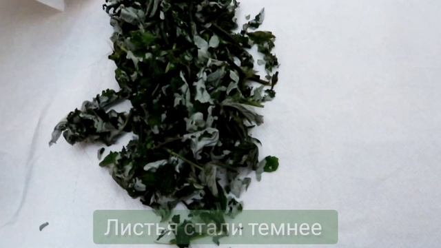 Мастерство и Стремление