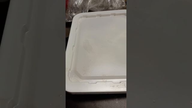 Посадить дома Грецкий Орех #орехгрецкий #грецкийорех #орех #какпосадить смотреть онлайн