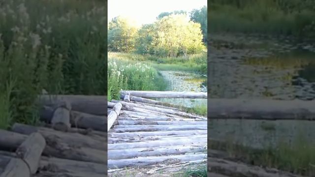 Как проехать по бревну через реку #путешествие #эндуро #мотоцикл #река #мост #половодье #мото смотреть онлайн