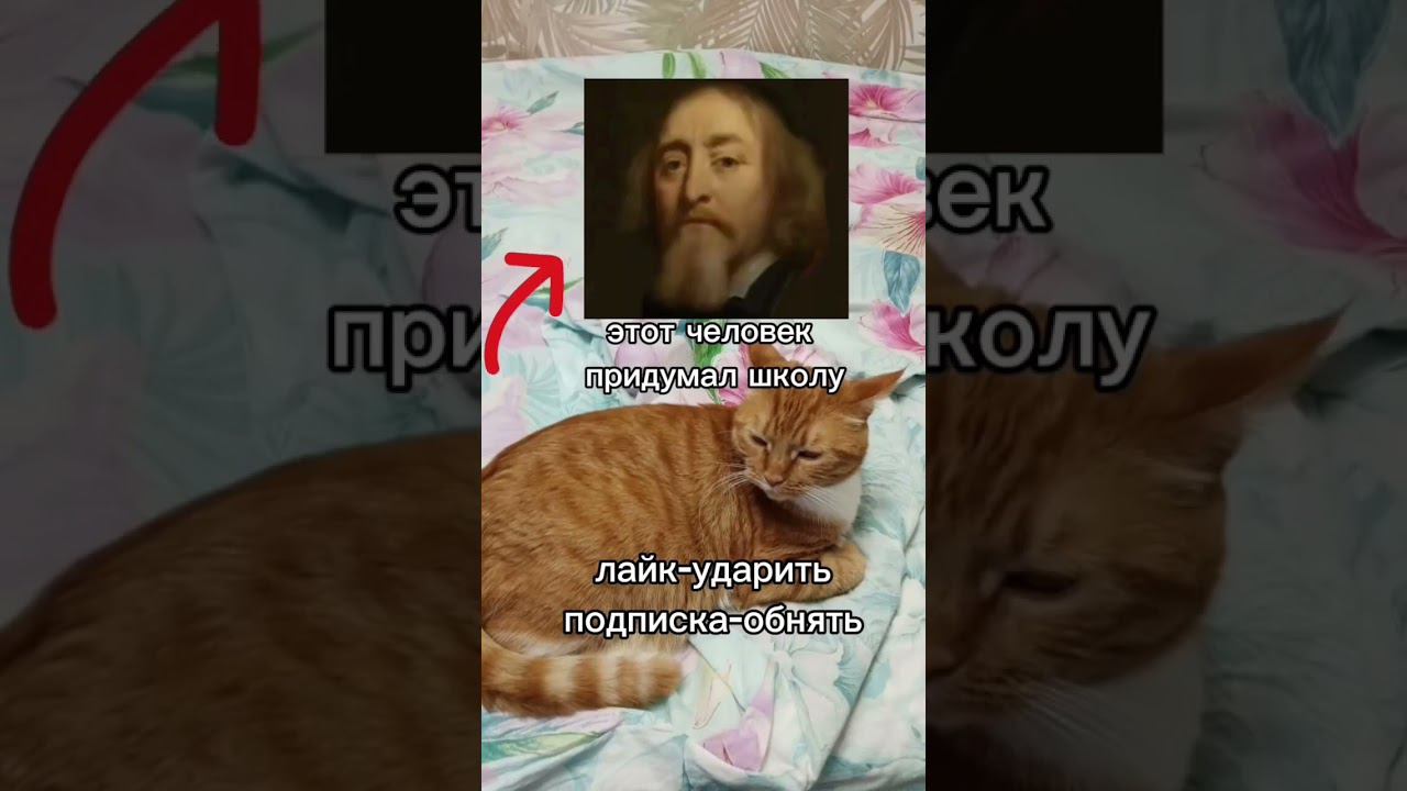 Кто придумал школу ?