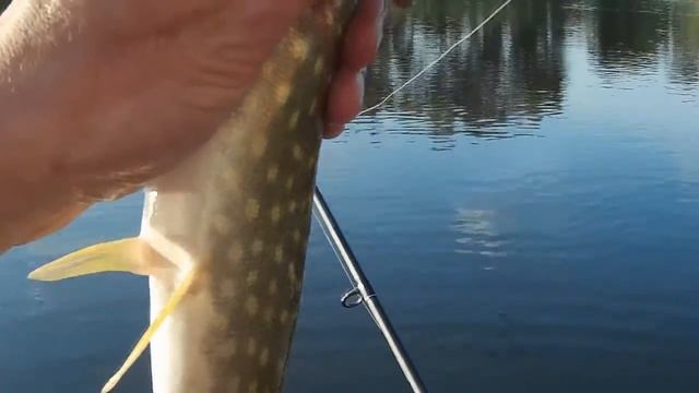 Рыбалка с лодки на щуку как она есть!!!! смотреть онлайн