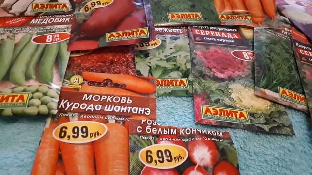 Когда сажать семена свеклы, моркови, редиса и редьки.. смотреть онлайн