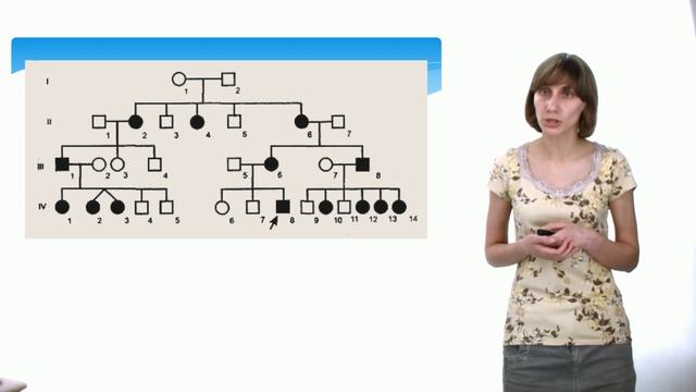 Практическое занятие №4 2 2020 1 часть смотреть онлайн