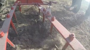 Самая удобная борона для мотоблока Мотор Сич. Борона МТЗ Беларус в работе