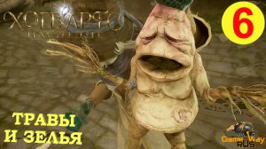 HOGWARTS LEGACY #6 ? PS5 ТРАВЫ И ЗЕЛЬЯ. Прохождение на русском.