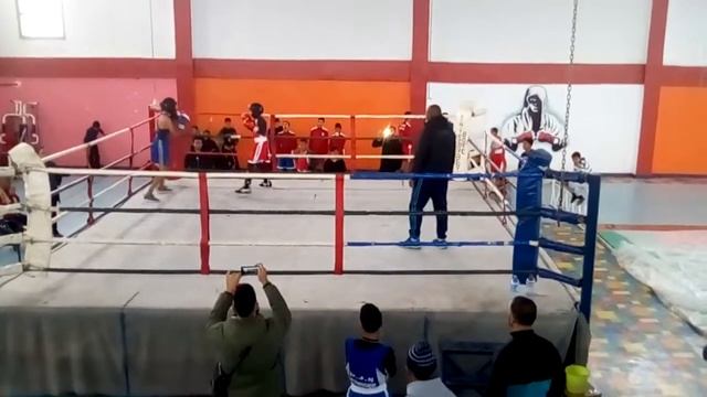 Zattal Mohamed mimoza смотреть онлайн
