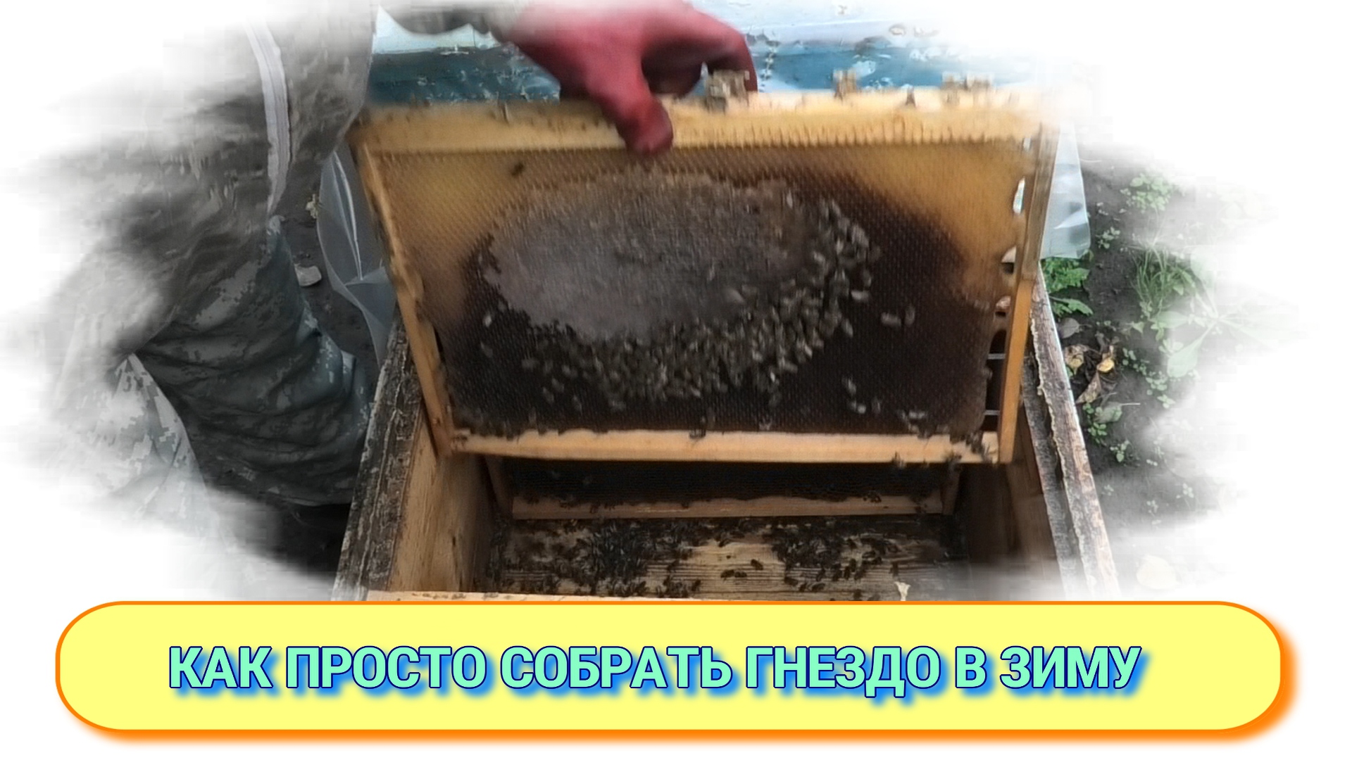 ПРОВЕРКА КОЛИЧЕСТВА КОРМА,СЖИМАЮ ГНЕЗДА ОНОКНЧАТЕЛЬНАЯ ПОДГОТОВКА К ЗИМОВКЕ..mp4 смотреть онлайн