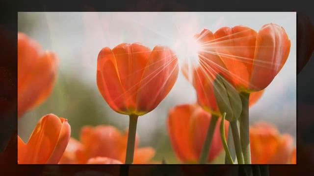 Ты не кляни свои года напрасно смотреть онлайн