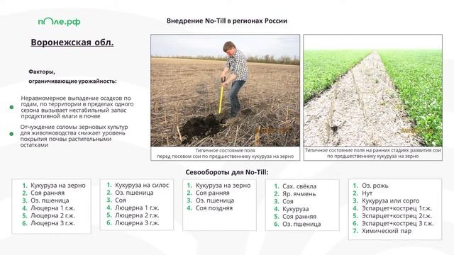 NO-TILL, конференция АСПП 2022, Роман Ратников, директор по агротехнологиям поле.рф смотреть онлайн