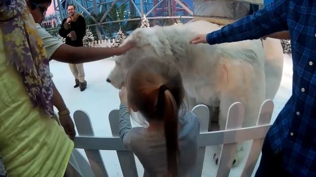 Медведь играет с детьми в парке Феррари, Абу-Даби. Дети живы, ни один медведь не пострадал смотреть онлайн