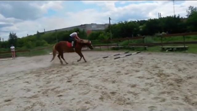 Boomerang ▼ Equestrian ▼