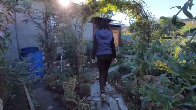Прогулянка моїм квітником #Сад своїми руками??/ A walk in my flower garden #Garden with my own hand смотреть онлайн