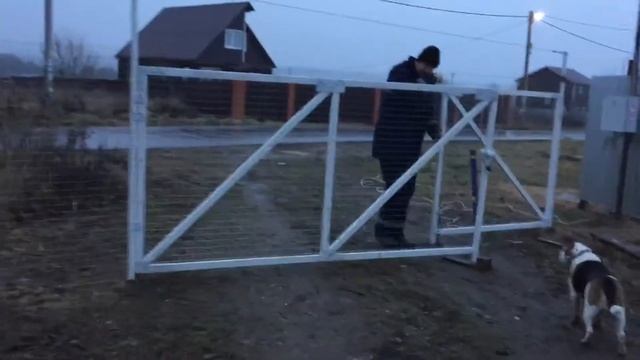 10 ноября. День милиции! смотреть онлайн