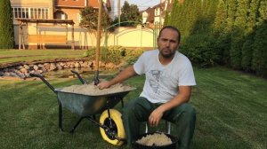 Пескование газона