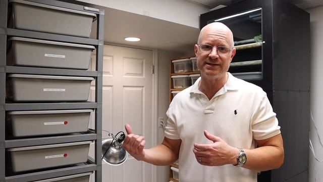 Advice for Constipated Emerald Tree Boas /Green Tree Pythons & Producing 22 Rare Python Eggs смотреть онлайн