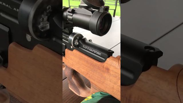 Kral Arms .22 Knight (Nemesis) Pt. 2 смотреть онлайн