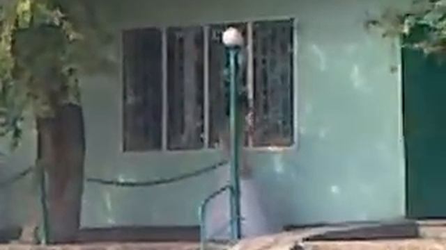 Свадьба по Уштобински №1 смотреть онлайн