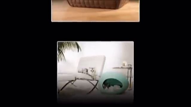 Домашние животные и мебель для них смотреть онлайн