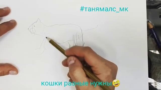 мастер класс от Таня Малс #котики смотреть онлайн