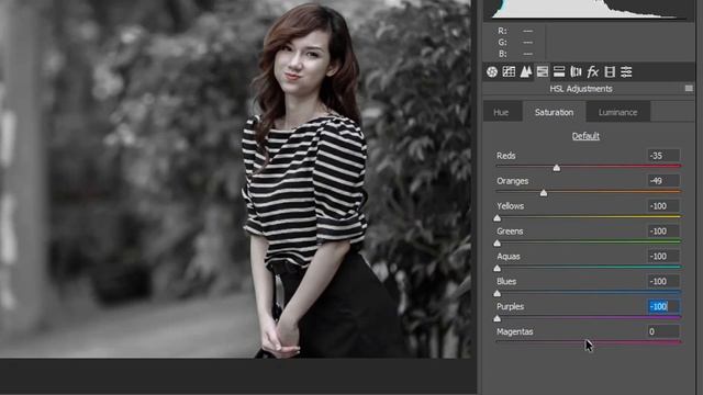 Gold And Gray Color Camera Raw Preset Free Download