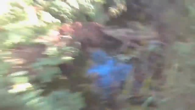 Тупо чилим отдыхаем °ВЫЖИВАНИЕ° смотреть онлайн