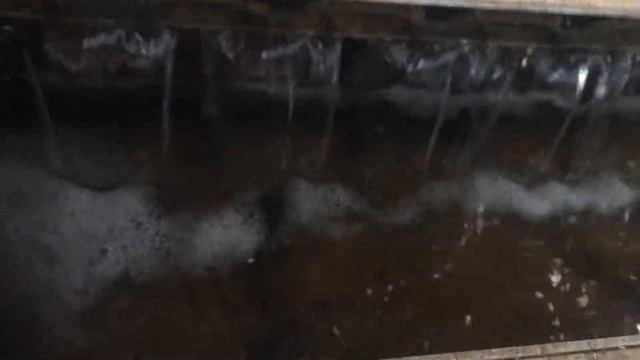 Работа электро флотаторов производства ПромТехВод смотреть онлайн