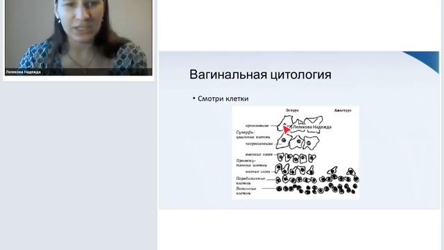 "Подводные камни при планировании вязки у собак." Лектор - Надежда Лелекова 30 12 2018 смотреть онлайн