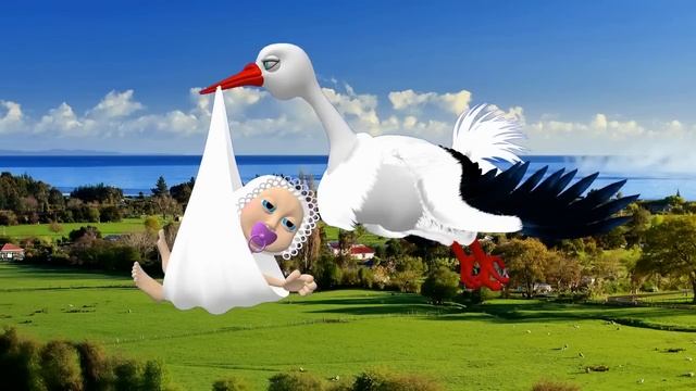 Аист с ребенком. Футаж аист. Аист несет ребенка. Аист с малышом. Футажи для видеомонтажа Видеофутаж смотреть онлайн