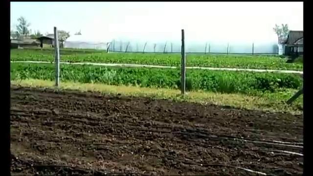 Клещ (тля, трипс) на клубнике, чем обрабатывать. смотреть онлайн