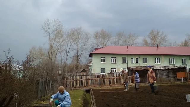 Садим картошку 19.05.18 смотреть онлайн