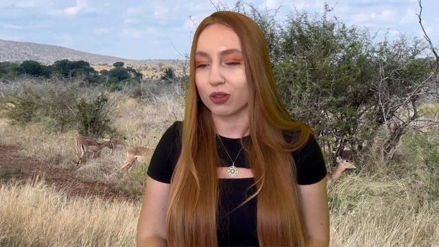 КРЮГЕР ПАРК | Цены 2022. Львы , слоны и гиены. смотреть онлайн