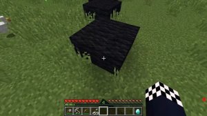 ?У КАЖДОГО ТОЛЬКО ОДИН ЦВЕТ В МАЙНКРАФТ! ШЕДИ ЛЕСКА И НУБИК MINECRAFT